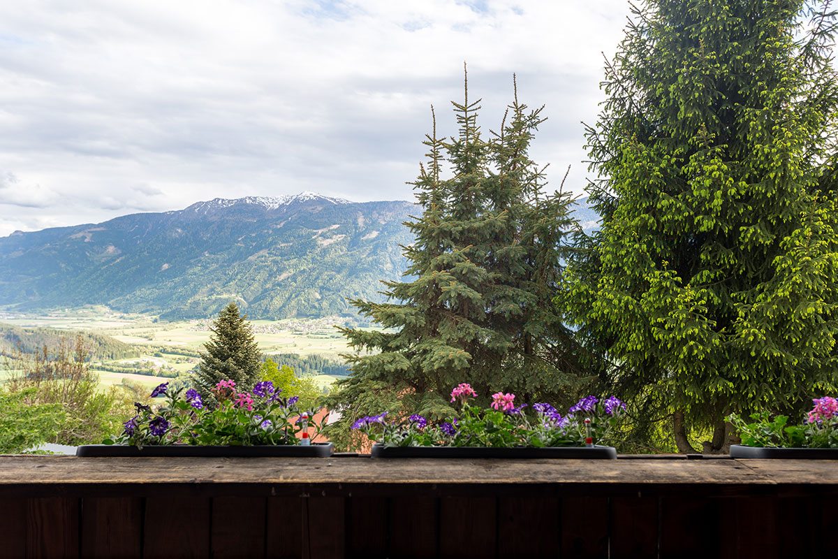Außenanlage - Design Ferienhaus Berg Chalet Millstätter See