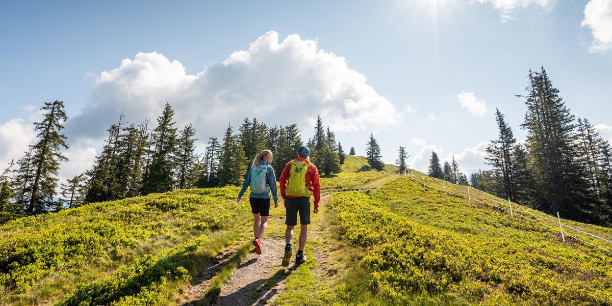 Wandern - Sommerurlaub in Wagrain, Salzburg